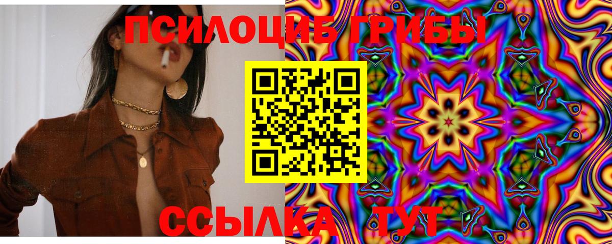 купить закладку  Псилоцибиновые грибы Magic Shrooms  Вход с VPN  Йошкар-Ола  Галлюциногенные грибы Magic Shrooms 