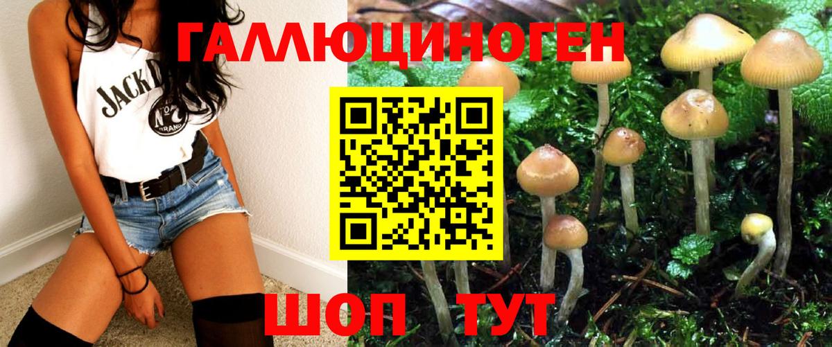 Псилоцибиновые грибы мухоморы Йошкар-Ола
